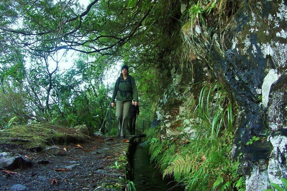 Levada Walk and Caldeirao Verde Waterfalls: Madeira - Key Points You’ll Care About