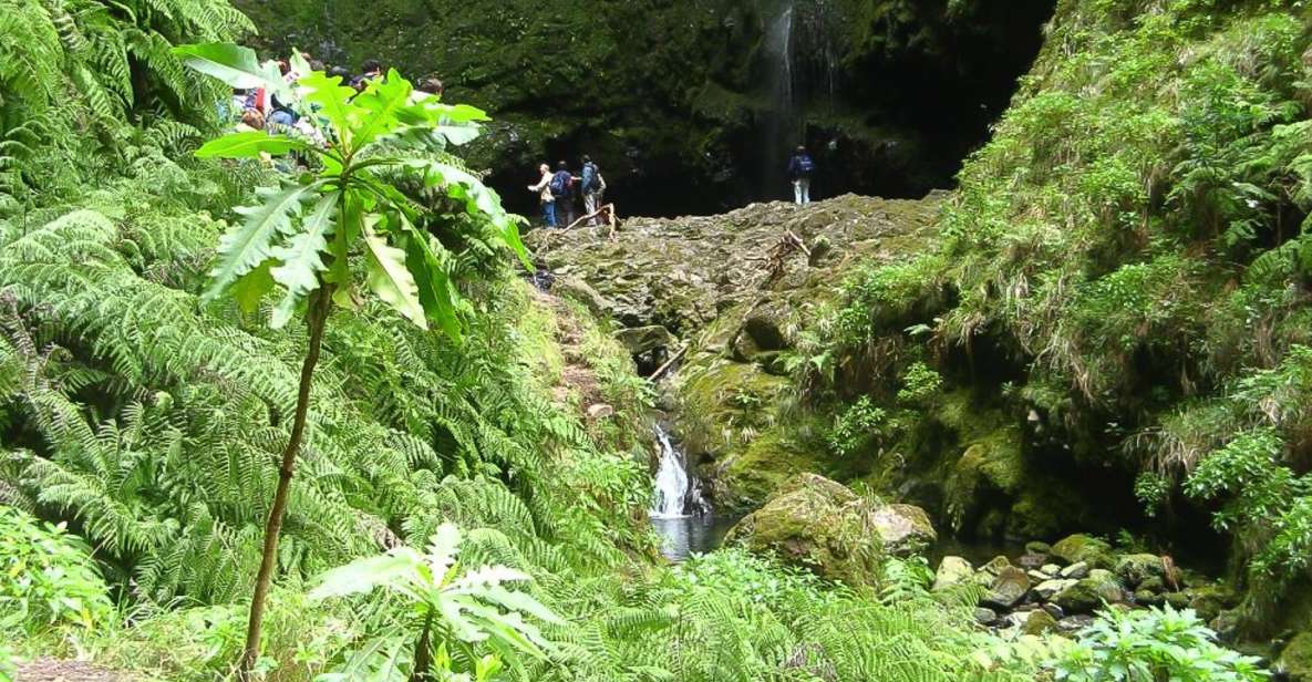 Levada Walk and Caldeirao Verde Waterfalls: Madeira - Starting at Queimadas Forest Park: What the First Stretch Offers