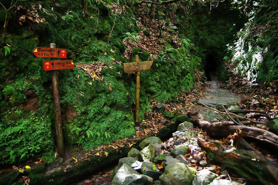 Levada Walk and Caldeirao Verde Waterfalls: Madeira - Levada Details: Stone Paths, Narrow Sections, and Tunnel Reality