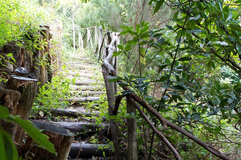 Levada Walk and Caldeirao Verde Waterfalls: Madeira - Caldeirão Verde Waterfall: The Picnic Stop That Actually Feels Worth It