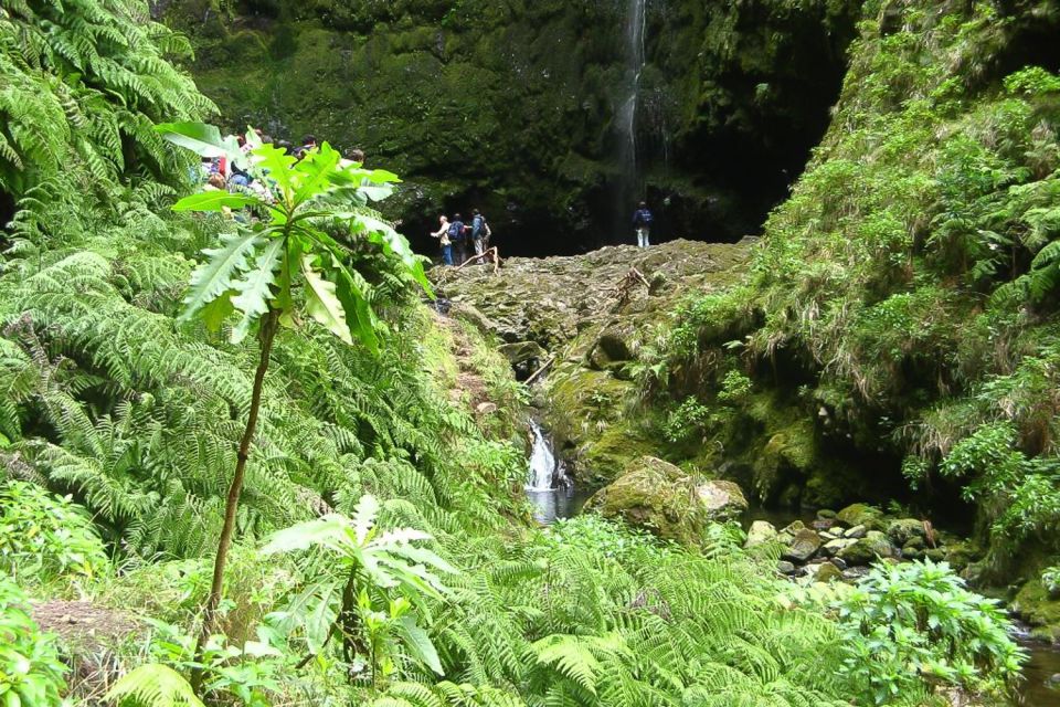 Levada Walk and Caldeirao Verde Waterfalls: Madeira - Getting There: Pickups, Transfers, and a 7-Hour Day