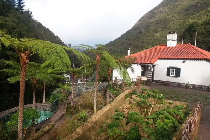 Levada Walk from Ribeiro Frio to Portela - How the guide changes the walk: Ruby, Benny, and the Madeira storytelling vibe