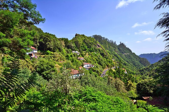 Levada Walk from Ribeiro Frio to Portela - Price and value: what $51.61 buys you on Madeira