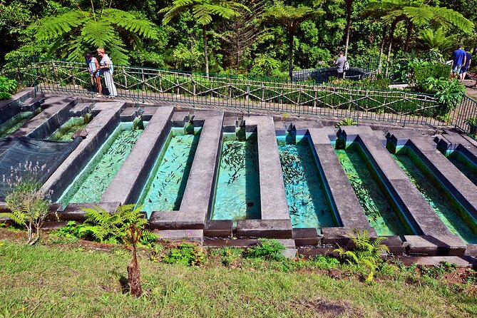 Levada Walk from Ribeiro Frio to Portela - Should you book the Ribeiro Frio to Portela levada walk?