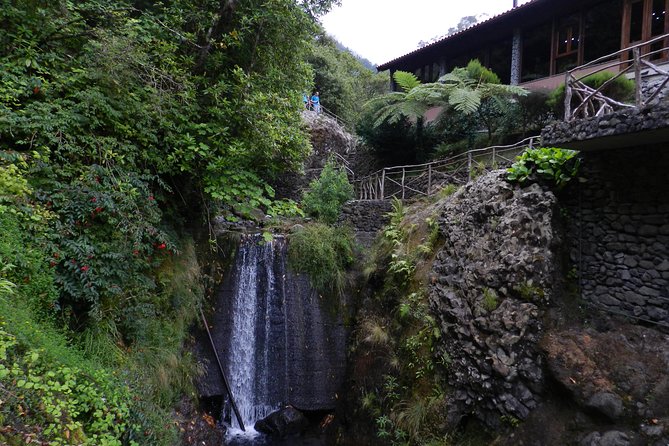 Levada Walk from Ribeiro Frio to Portela - The trail along the levada: laurel shade, trout, and steady footwork