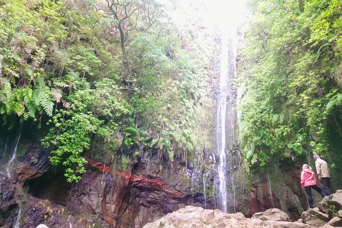Levada & Waterfalls Hike 25 Fountains, Rabaçal, Risco more Challenging Walk - Price and Value: What $95.18 Really Covers (and What Costs Extra)