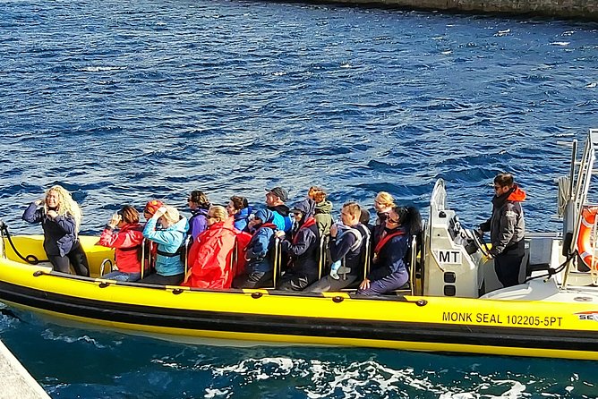 Lighthouse View 2 - Boat Tour Ponta São Lourenço - The North coast as a protected wildlife zone