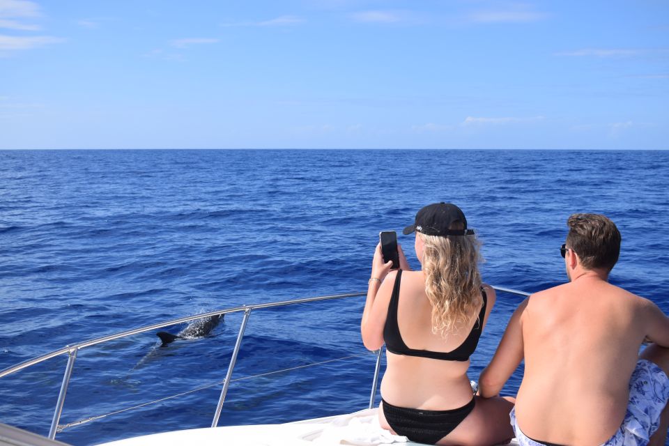 Madeira: 2.5-Hour Whale and Dolphin-Watching Cruise - What to bring (so you’re not stuck on deck)