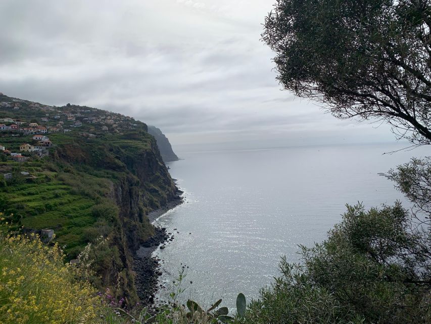 Madeira: 4 hours Classic Jeep tour in Central Madeira - The Real Value: Flora, Herbs, and Local Life (Not Just Photos)