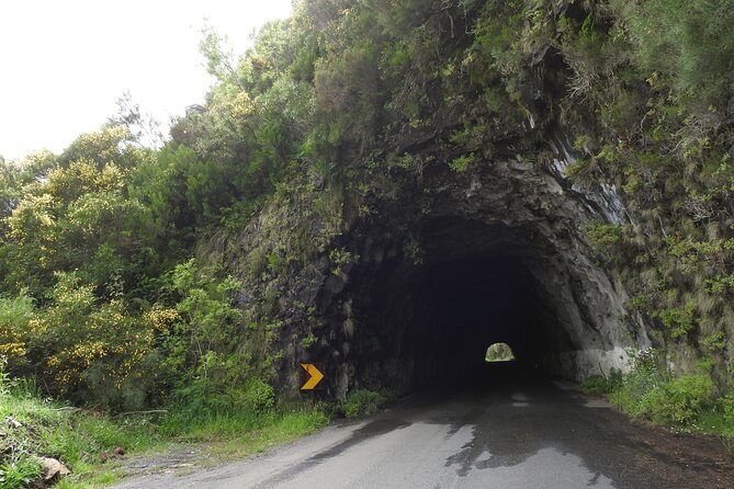 Madeira 4x4 Jeep Safari : Porto Moniz, Lava Pools & Fanal Forest - Ribeira Brava + Ponta do Sol: Bananas, Exports, and a Real Break