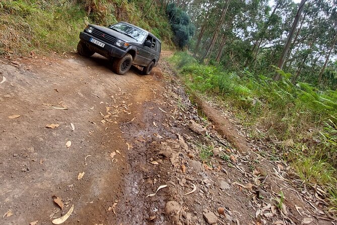 Madeira 4x4 Jeep Safari : Porto Moniz, Lava Pools & Fanal Forest - Fanal Forest + Ribeira da Janela: Iconic Green Stillness and Cave-View Vistas