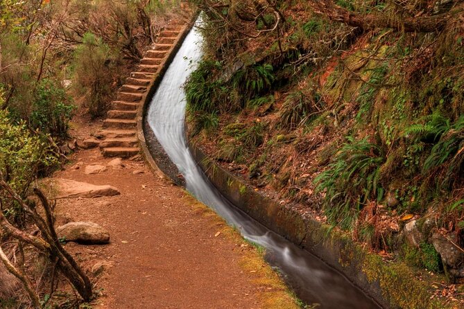 Madeira 4x4 Jeep Safari : Porto Moniz, Lava Pools & Fanal Forest - Cabo Girão (580 Meters): The Skywalk Moment and the Ticket Catch