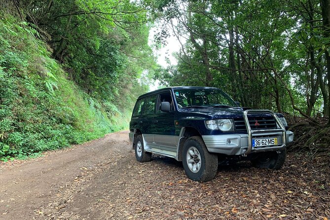Madeira 4x4 Jeep Tour : Pico Arieiro & Santana Traditional Houses - Stop 1: Pico do Arieiro—big altitude views with the ticket handled