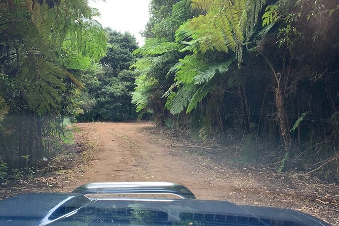 Madeira 4x4 Jeep Tour : Pico Arieiro & Santana Traditional Houses - Stop 2: Vereda dos Balcões—an easy walk that still feels like real Madeira