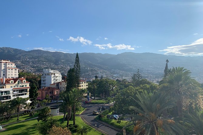 Madeira Airport Round Trip Shuttle Transfers Service - Small Print That Can Matter: Luggage, Time Windows, and Group Size
