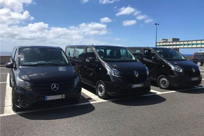 Madeira Airport Round Trip Shuttle Transfers Service - Meeting Your Driver Inside FNC: The Sign, the Timing, and the Flight Check