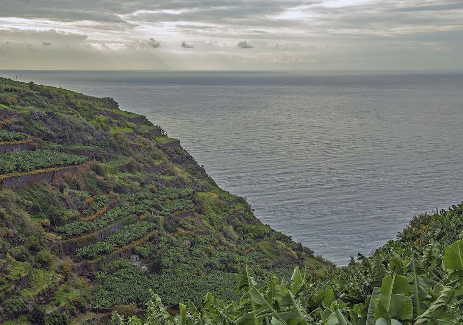 Madeira: Amazing West - Porto Moniz - Price and value: where the $72 makes sense