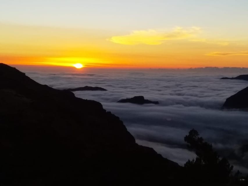 Madeira: Birdwatching - The Endemics - Key Highlights You’ll Care About
