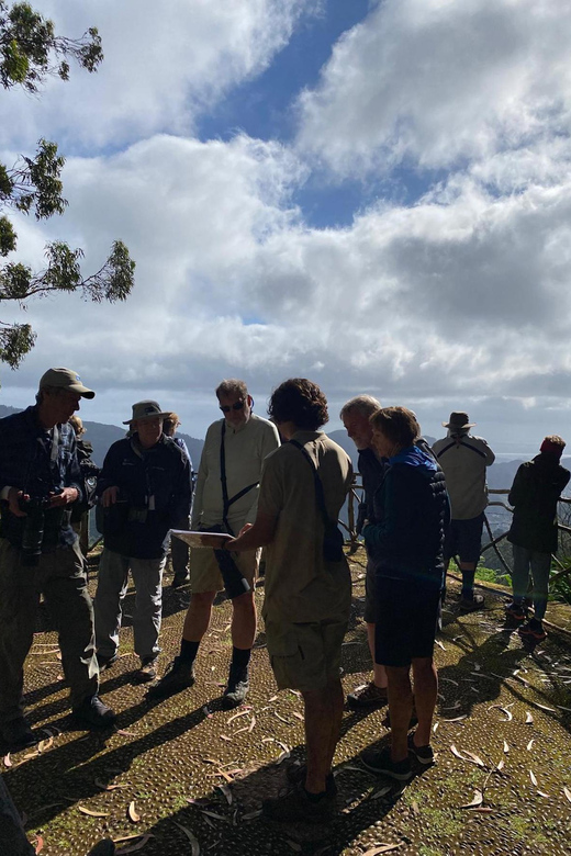 Madeira: Birdwatching - The Endemics - How the Watching Works: Seats, Walks, and Included Observation Material