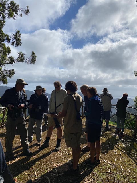 Madeira: Birdwatching - The Endemics - Weather Reality Check: When Conditions Change Your Chances