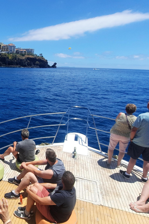 Madeira: Boat Trip with Lunch, Drinks, and Hotel Transfer - Price and time: why $81 feels fair for this Madeira mix