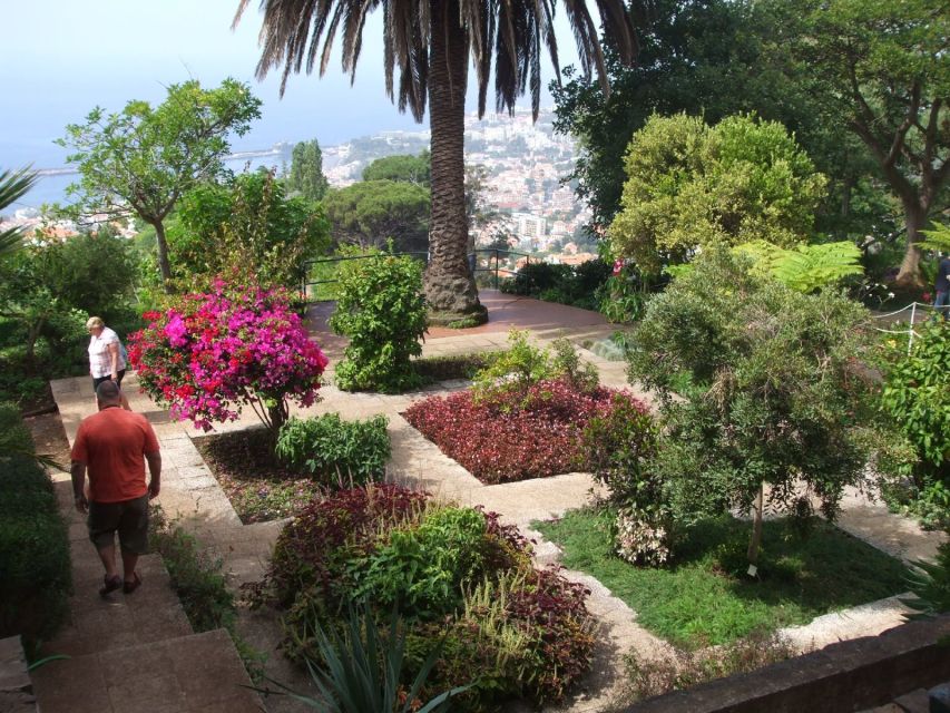 Madeira: Botanical Garden in a Tuk-Tuk Tour - Riding Up: The Tuk-Tuk Part You’ll Actually Remember