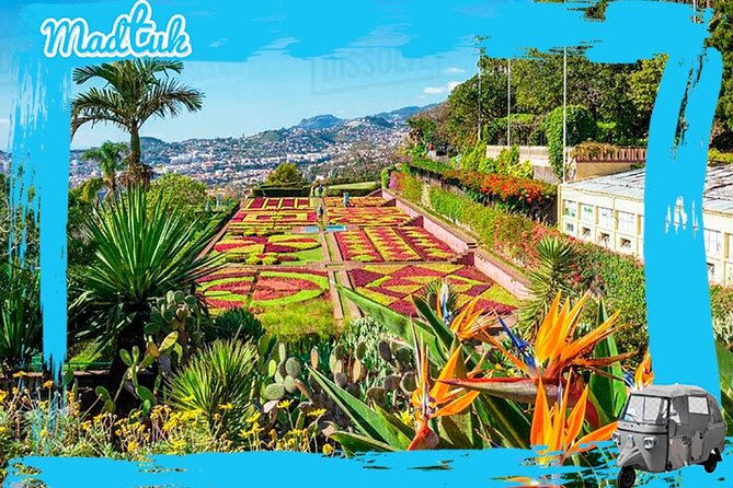 Madeira Botanical Gardens and Old Town Tuk Tuk Tour by MadTuk - Key highlights worth knowing before you go
