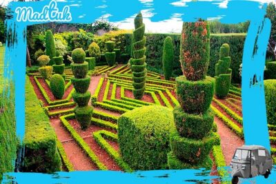 Madeira Botanical Gardens and Old Town Tuk Tuk Tour by MadTuk - The Botanical Gardens road: views you can’t get from sitting still