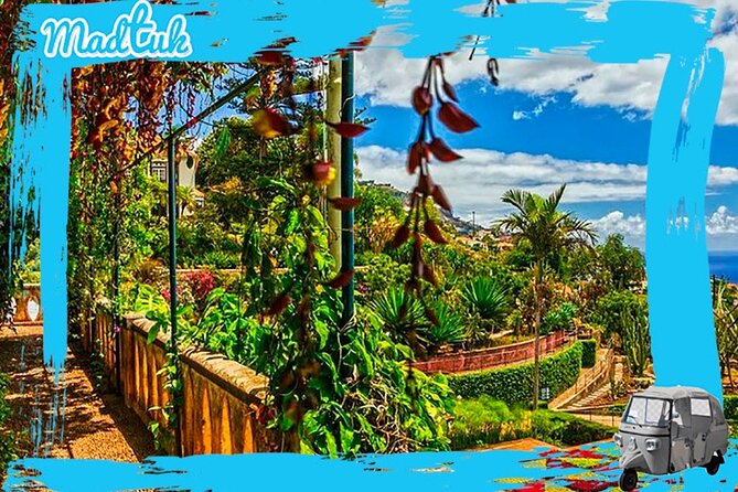 Madeira Botanical Gardens and Old Town Tuk Tuk Tour by MadTuk - Old Town pass: less walking, more getting your bearings