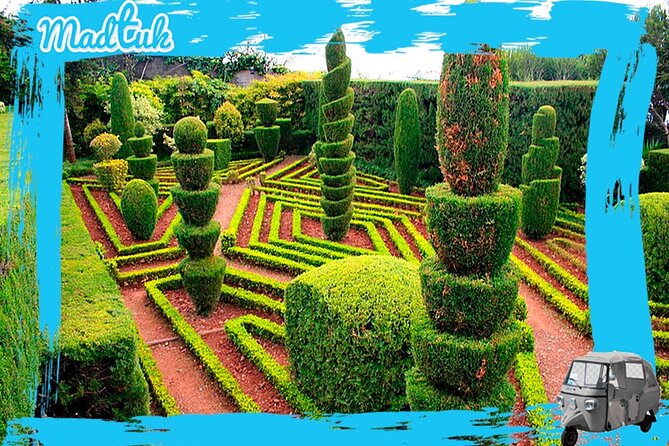 Madeira Botanical Gardens and Old Town Tuk Tuk Tour by MadTuk - The Botanical Gardens road: views you can’t get from sitting still