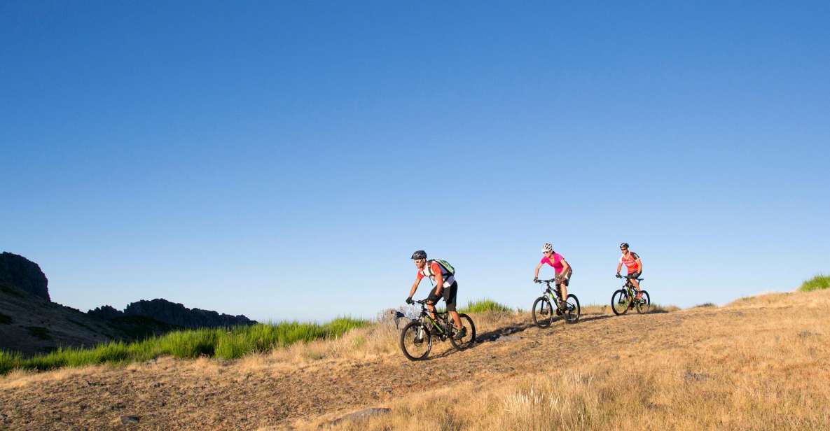 Madeira Botanical Levels Bike Tour – Scenic Trail Experience - The Ride Along The Levada: Forest Soundtrack And Water-Channel Variety