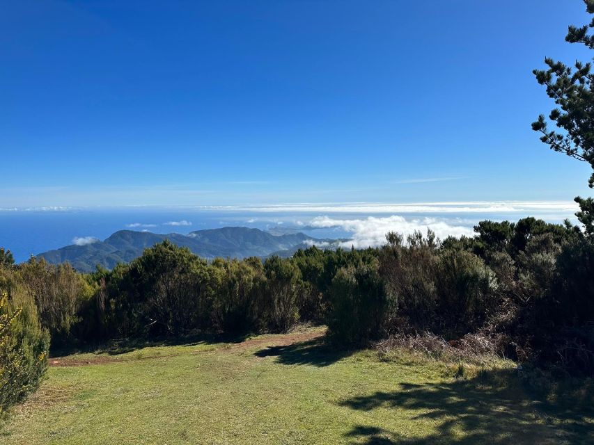 Madeira Botanical Levels Bike Tour – Scenic Trail Experience - Who This Tour Fits Best (And Who Should Choose The Easier Option)