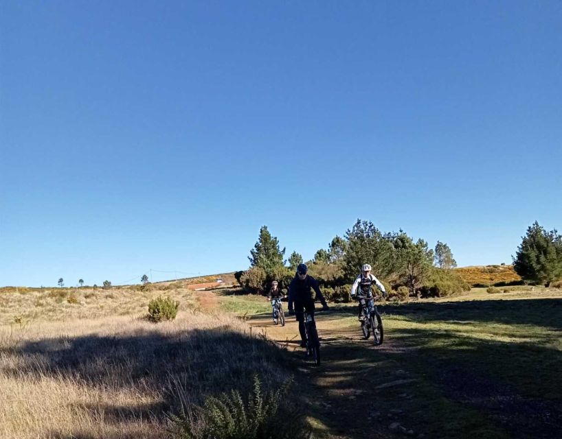 Madeira Botanical Levels Bike Tour – Scenic Trail Experience - Should You Book This Madeira Botanical Levels Bike Tour?