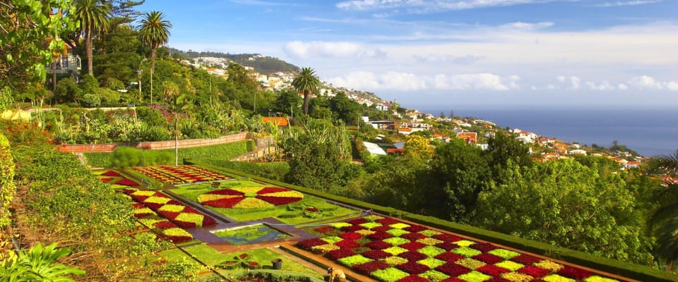 Madeira: Botanical, Monte Palace, and Palheiro Gardens - Palheiro Gardens and the Blandy Family Winemaking Connection