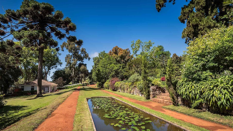 Madeira: Botanical, Monte Palace, and Palheiro Gardens - Price and Value: What $176 Per Group Actually Buys You