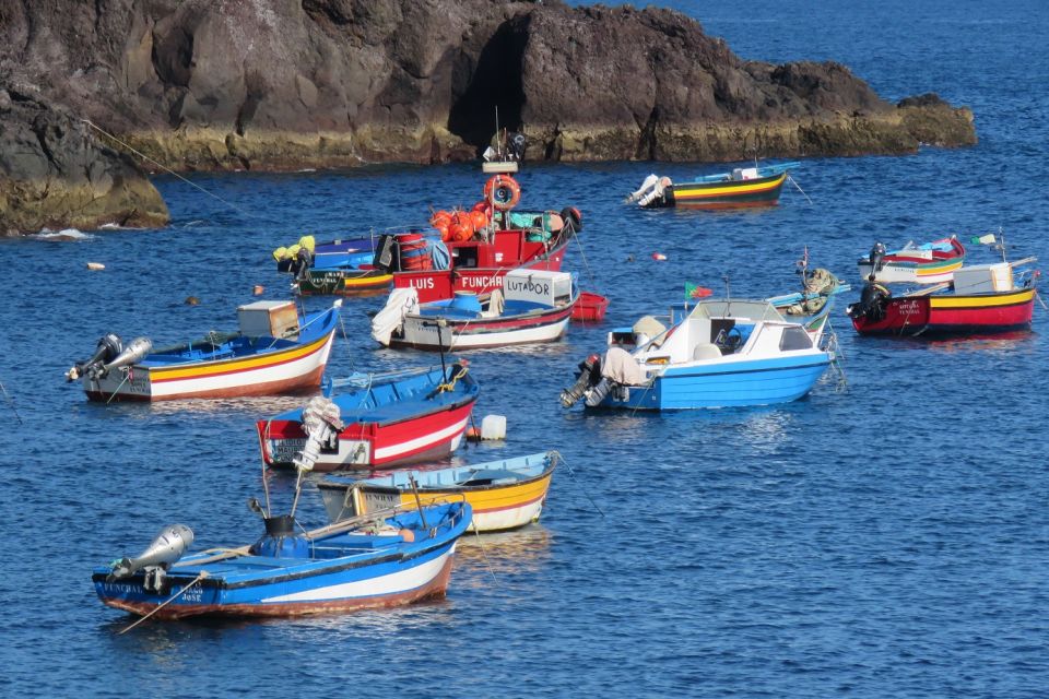 Madeira : Cabo Girao and Camara de Lobo 4WD half-day Tour - Should You Book This Cabo Girão and Câmara de Lobos 4WD Tour?