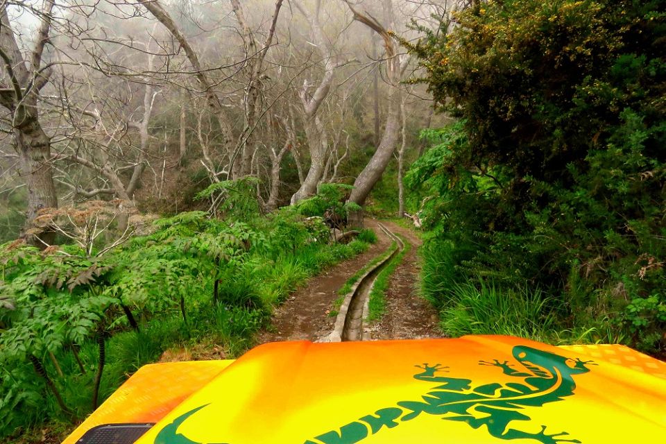 Madeira : Cabo Girao and Camara de Lobo 4WD half-day Tour - The Local Bar Stop: Poncha and Traditional Drinks, With a Reality Check