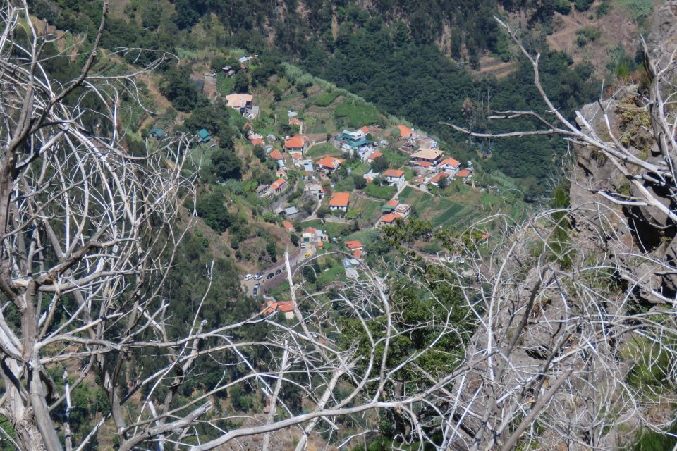 Madeira : Cabo Girao and Camara de Lobo 4WD half-day Tour - Who Should Book This 4WD Half-Day Tour