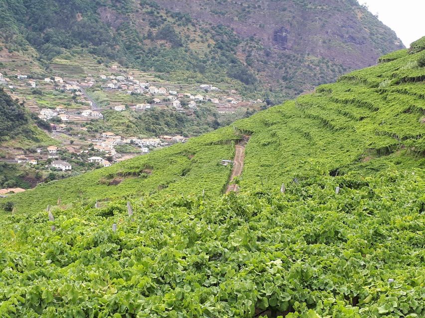 Madeira: Cabo Girão, Wine Tasting, & Serra d'Água Jeep Tour - Serra d’Água to São Vicente: North-Coast Views and Terraced Hills