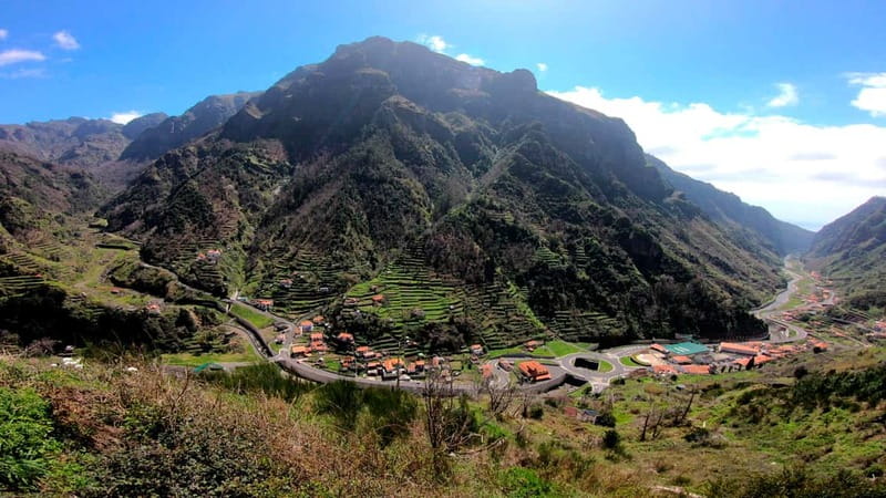 Madeira: Cabo Girão, Wines Experience and Dolphins Watching - Quinta do Barbusano Winery: the tasting that people actually talk about