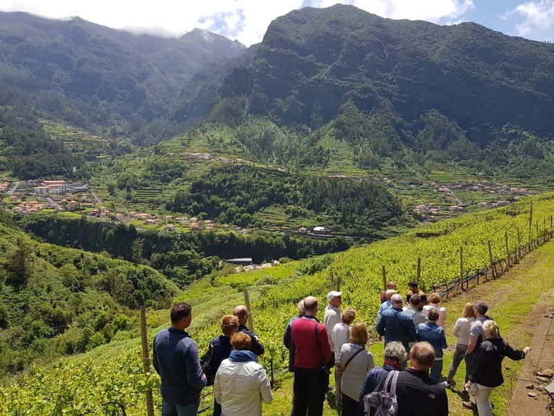 Madeira: Cabo Girão, Wines Experience and Dolphins Watching - What makes this tour work: the pacing and the mix of Madeira experiences
