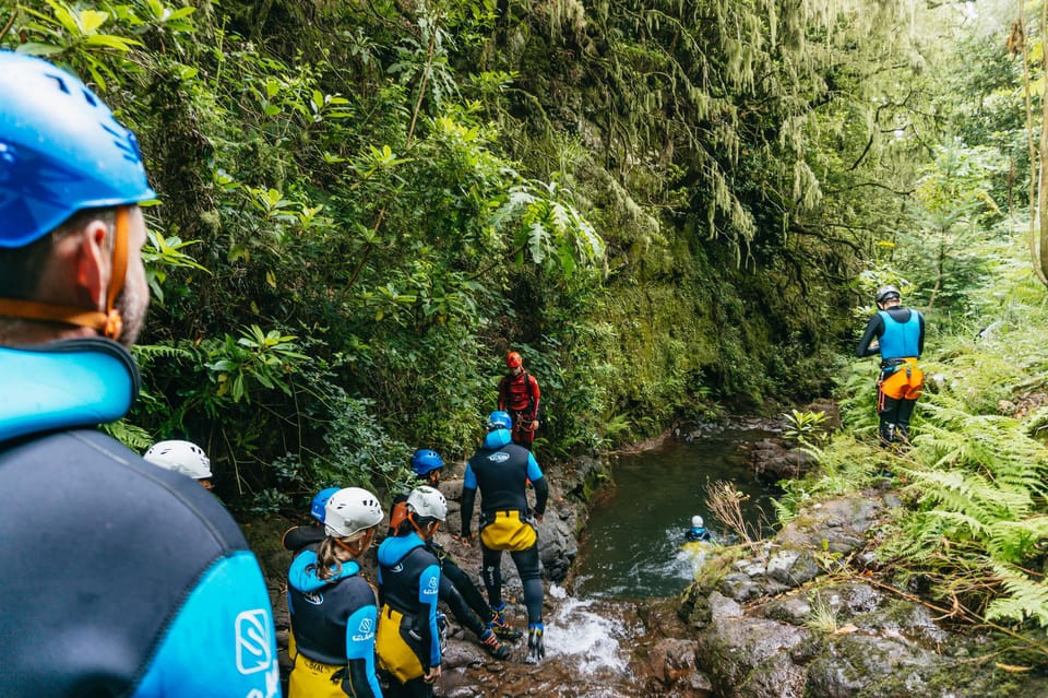 Madeira Canyoning Beginners – Easy & Fun Waterfall Adventure - How the Tour Feels in Real Life: Pace, Groups, and Energy