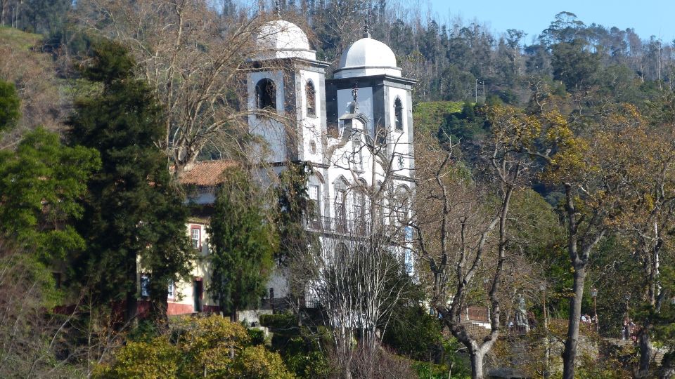 Madeira: Customized 3, 4 or 6-Hour Tour - Guides You Might Meet: The Human Part of the Experience