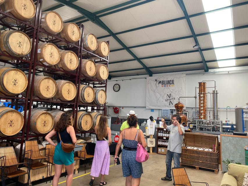 Madeira: Distilleries - Who This Tour Suits Best (And Who Should Skip)