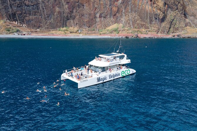 Madeira Dolphin and Whale Watching on a Ecological Catamaran - Key highlights worth your time