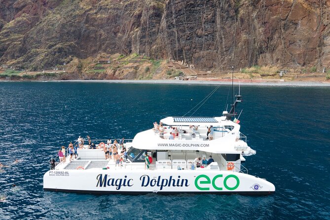 Madeira Dolphin and Whale Watching on a Ecological Catamaran - Shore Spotters and Hybrid-Electric Power: A Different Kind of Wildlife Hunt