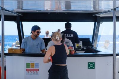 Madeira Dolphin and Whale Watching on a Ecological Catamaran - What You Might See: Dolphins, Pilot Whales, and Other Sea Life