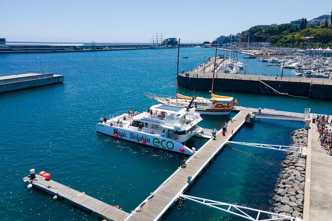 Madeira Dolphin and Whale Watching on a Ecological Catamaran - Comfort Check: Wind, Spray, Choppy Water, and Hard Seats
