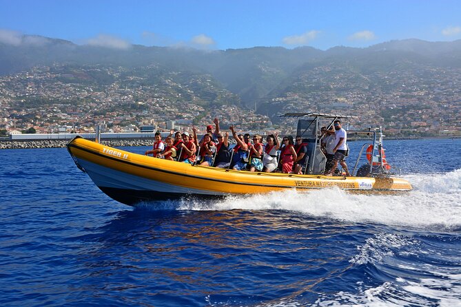 Madeira Dolphin & Whale Watching Tour - From Ventura’s Cais 8 Marina to a RIB Safari