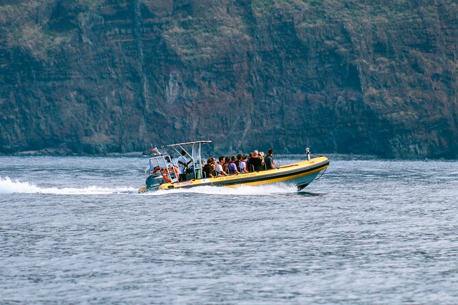 Madeira Dolphin & Whale Watching Tour - Timing and Weather: Why Your Cruise Might Feel Different